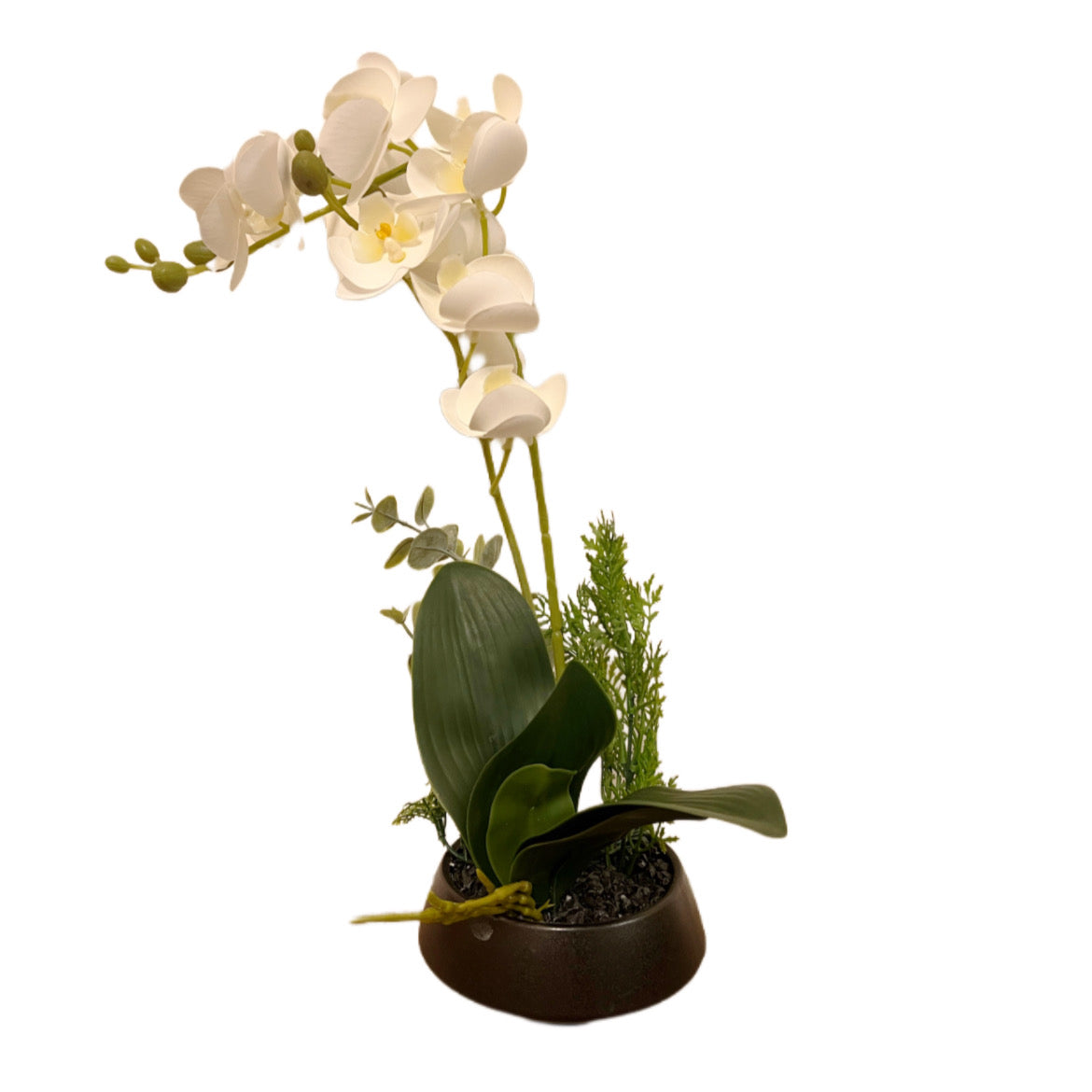 Lazy white rose pot